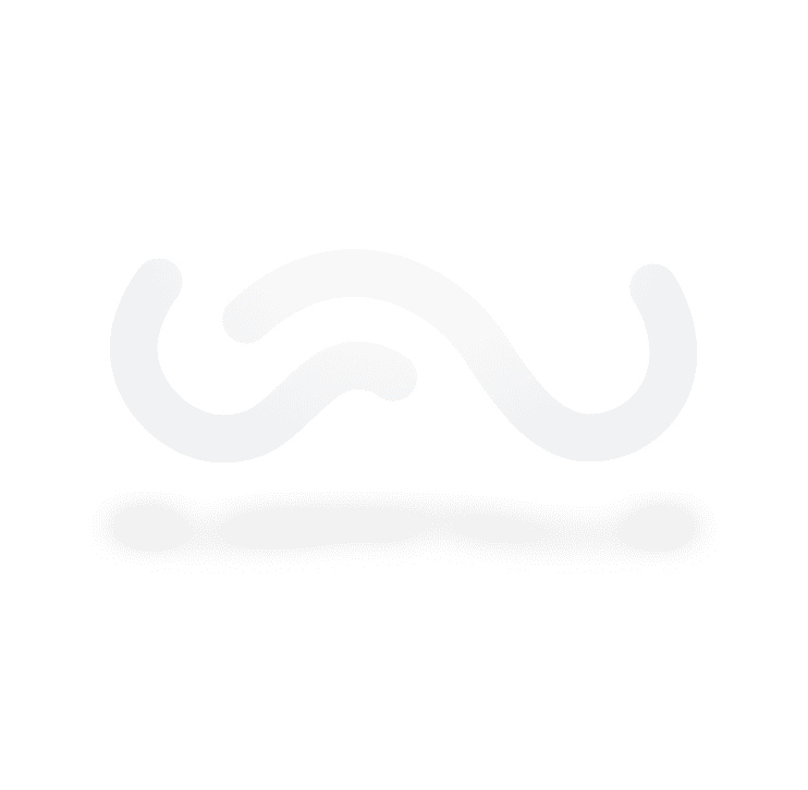 WavyStyle Logo